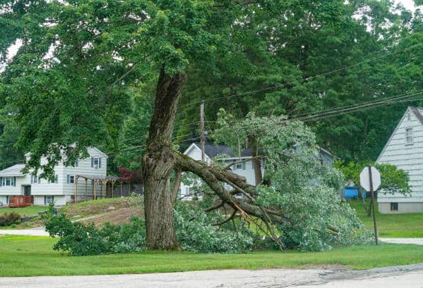 Emergency storm tree damage response Charlotte NC
